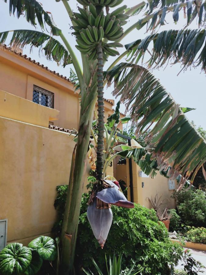 Dudi'S Peppers Apartamento Málaga Exterior foto